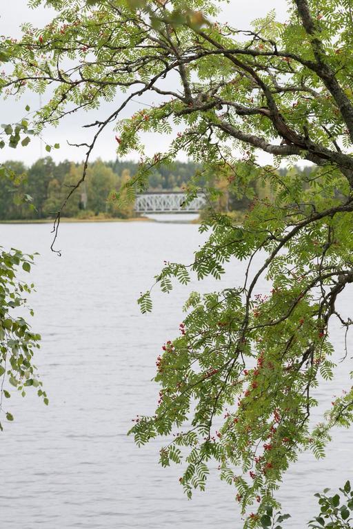 Lemettilae Countryside Accommodation Petajavesi Екстер'єр фото